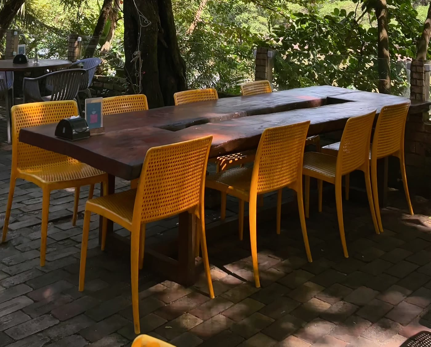 Mesa comunitária de madeira com cadeiras amarelas, sob as árvores do Terraço.